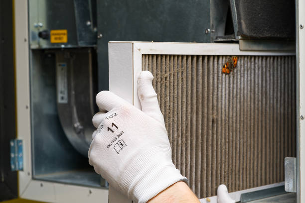 Best Local Air Duct Cleaning Services  in East Bronson, FL