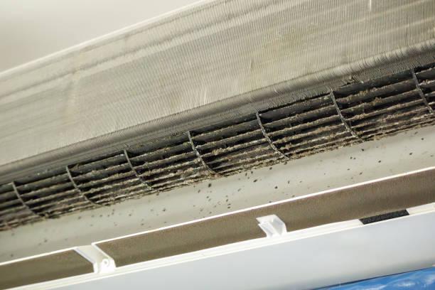 Best Affordable HVAC Duct Cleaning  in East Bronson, FL